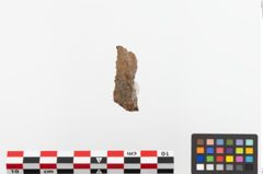 Foto von Eisengürtelhaken (NHMW-PRAE-023714)